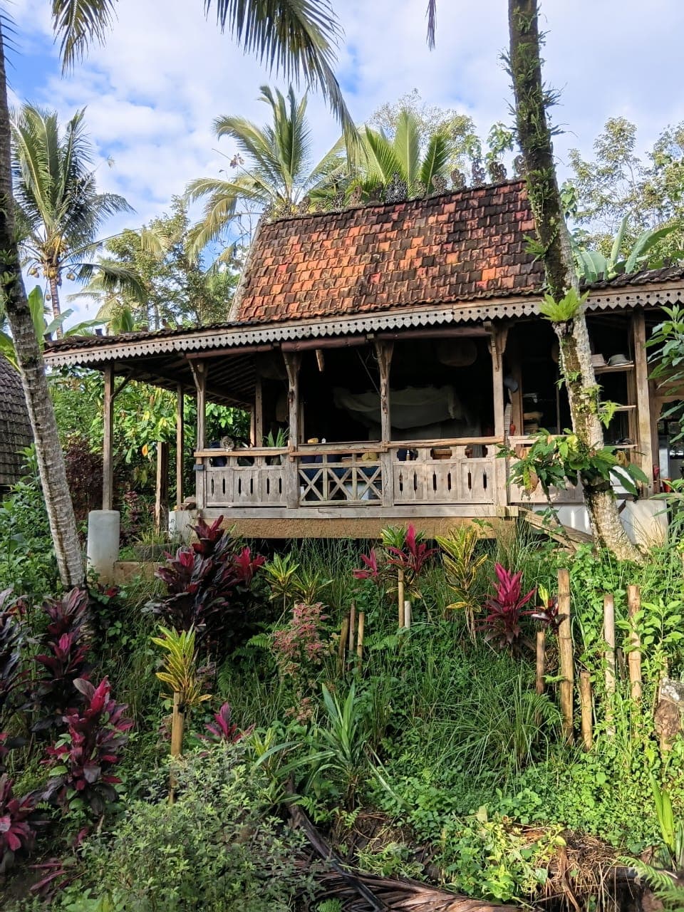 cacao-hati-suci — photograph 1