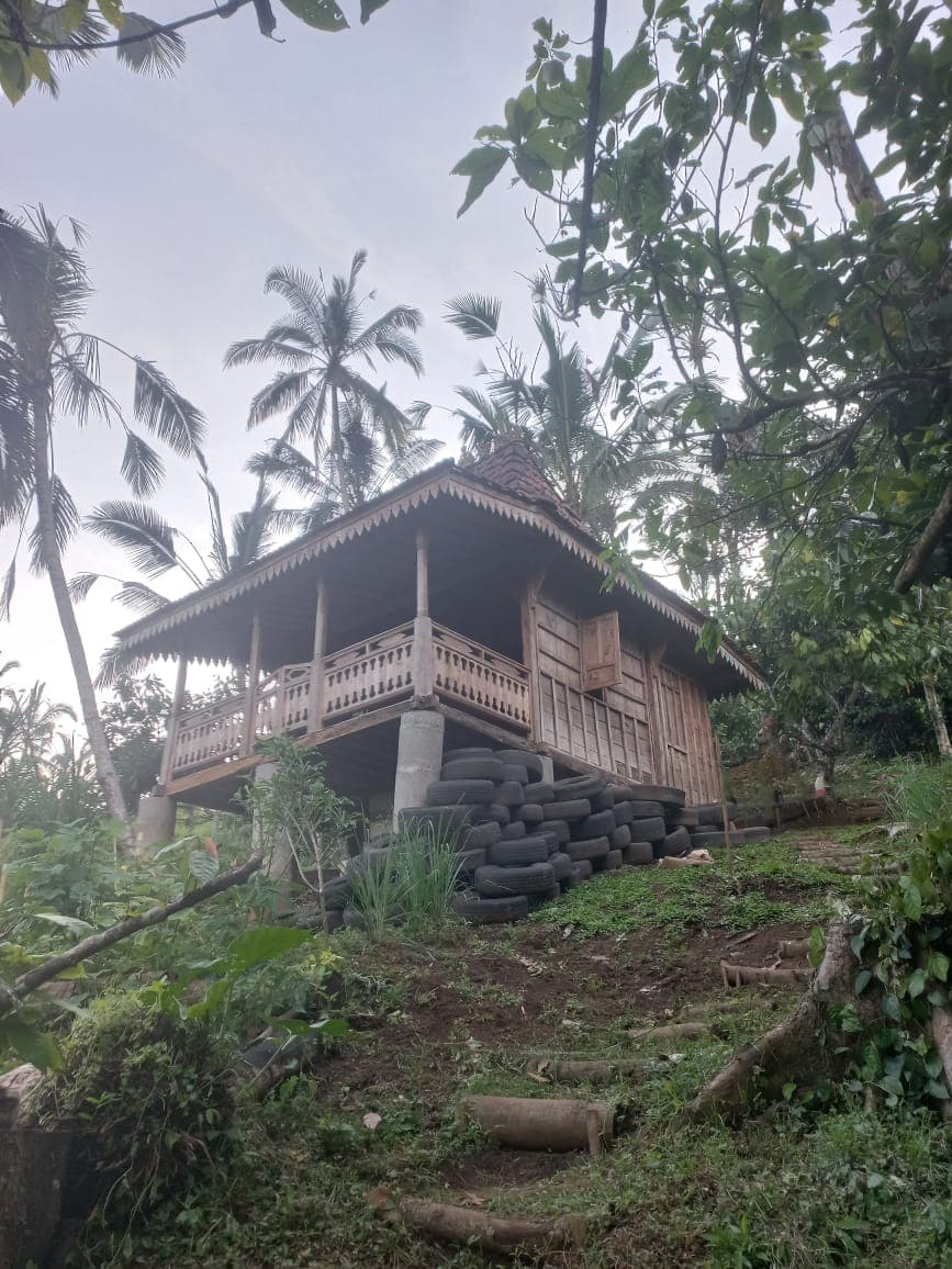 cacao-hati-suci — photograph 2