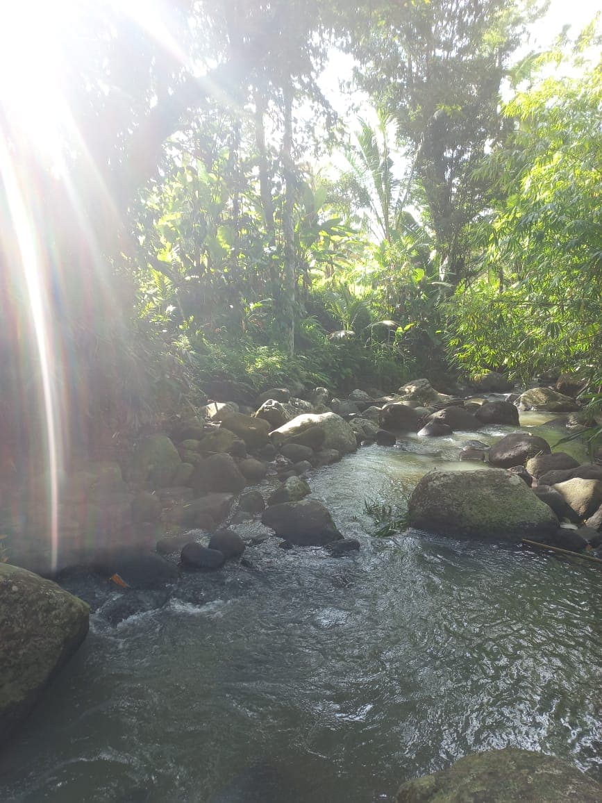 cacao-hati-suci — photograph 4