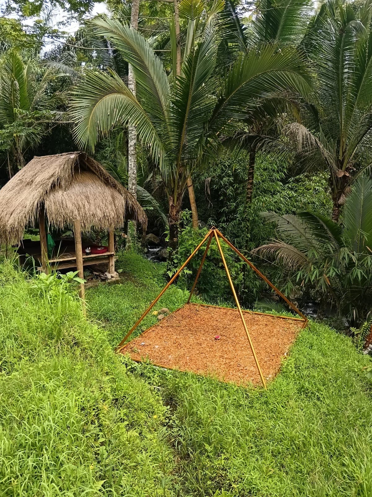 cacao-hati-suci — photograph 10