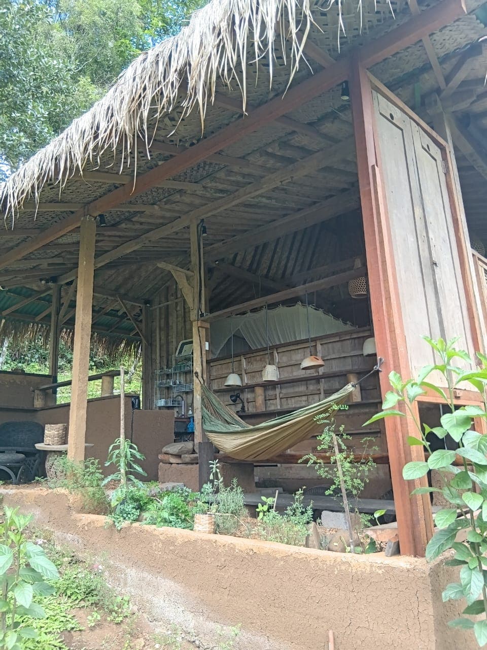 cacao-hati-suci — photograph 11