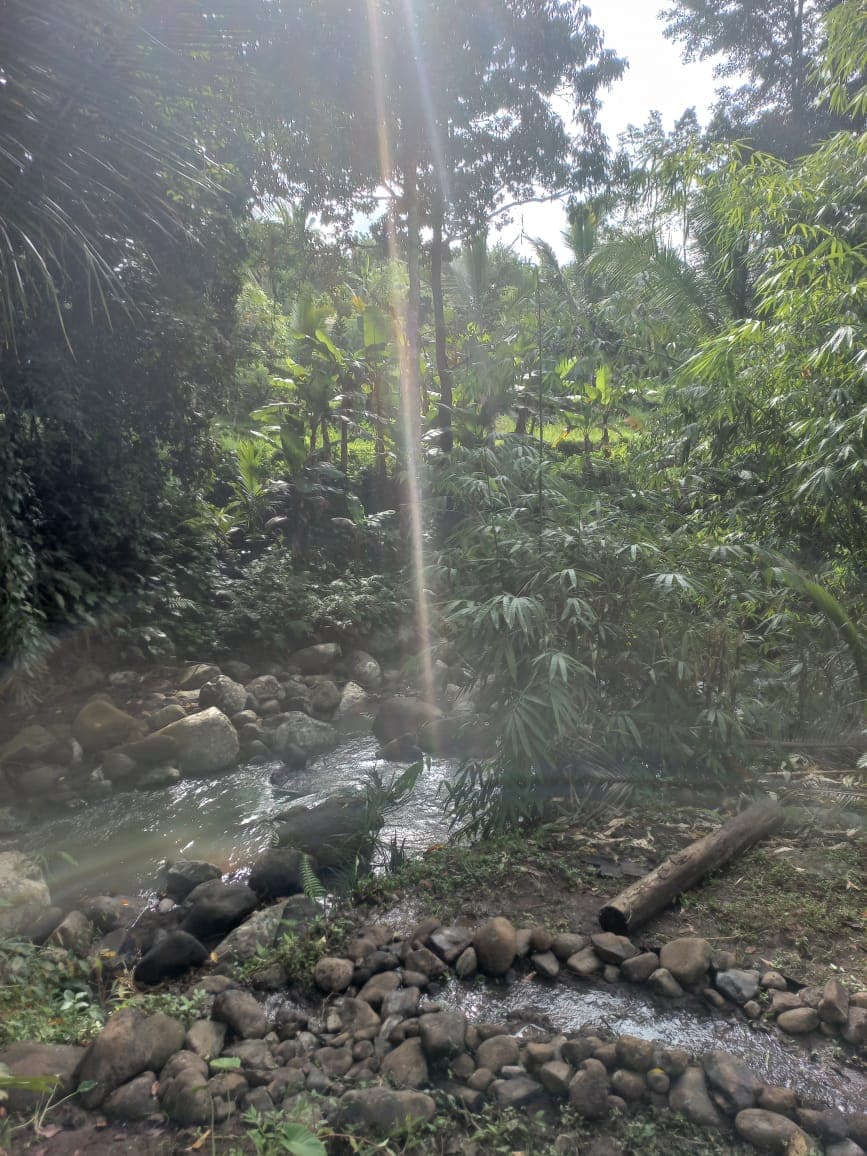 cacao-hati-suci — photograph 15