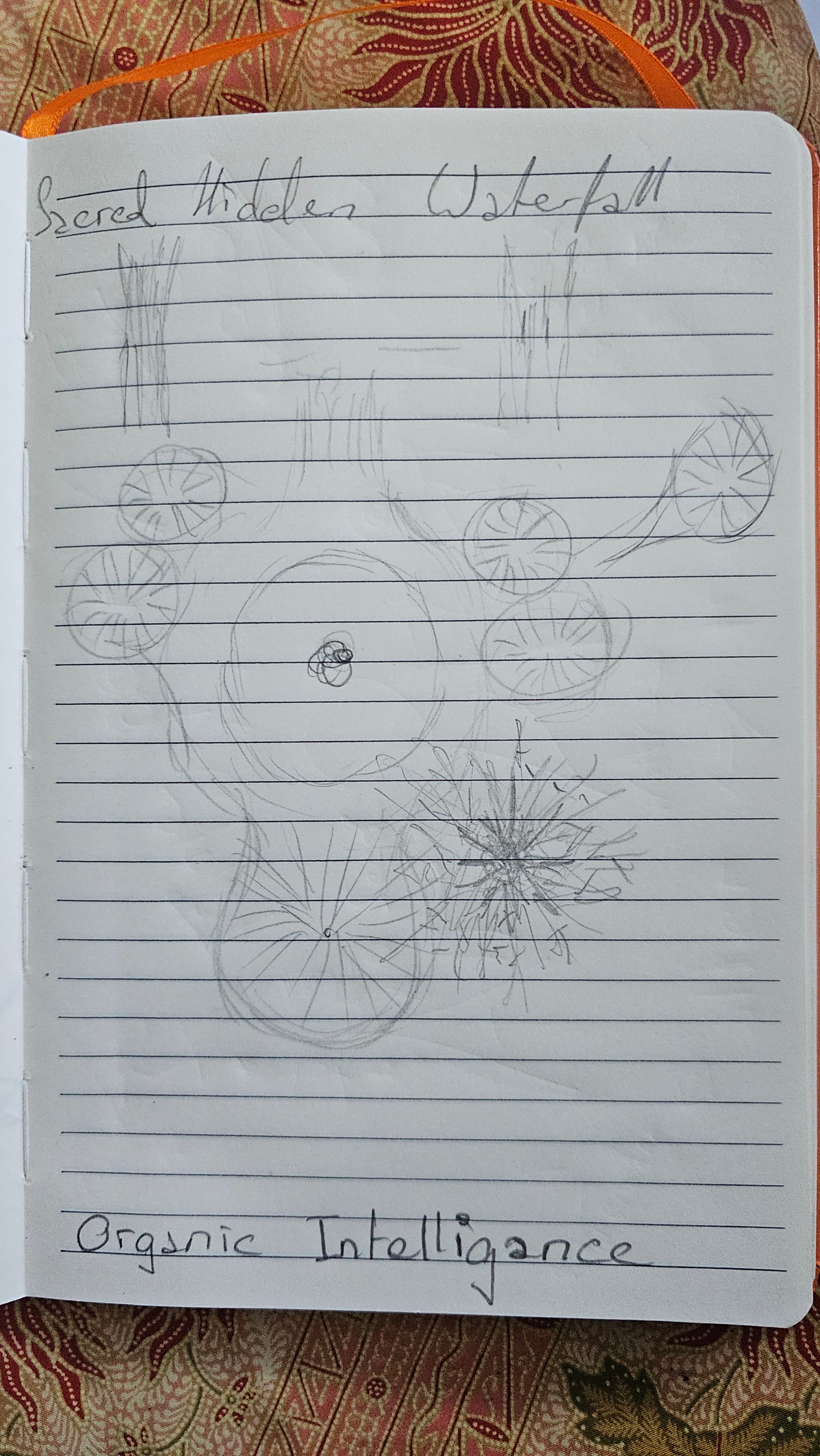 Notebook page labeled 'Sacred Hidden Waterfall' on one side and 'Organic Intelligence' on the other, with mandala-like dandelion-seed sketches: spoked circles, branching forms, a small spiral at the center.