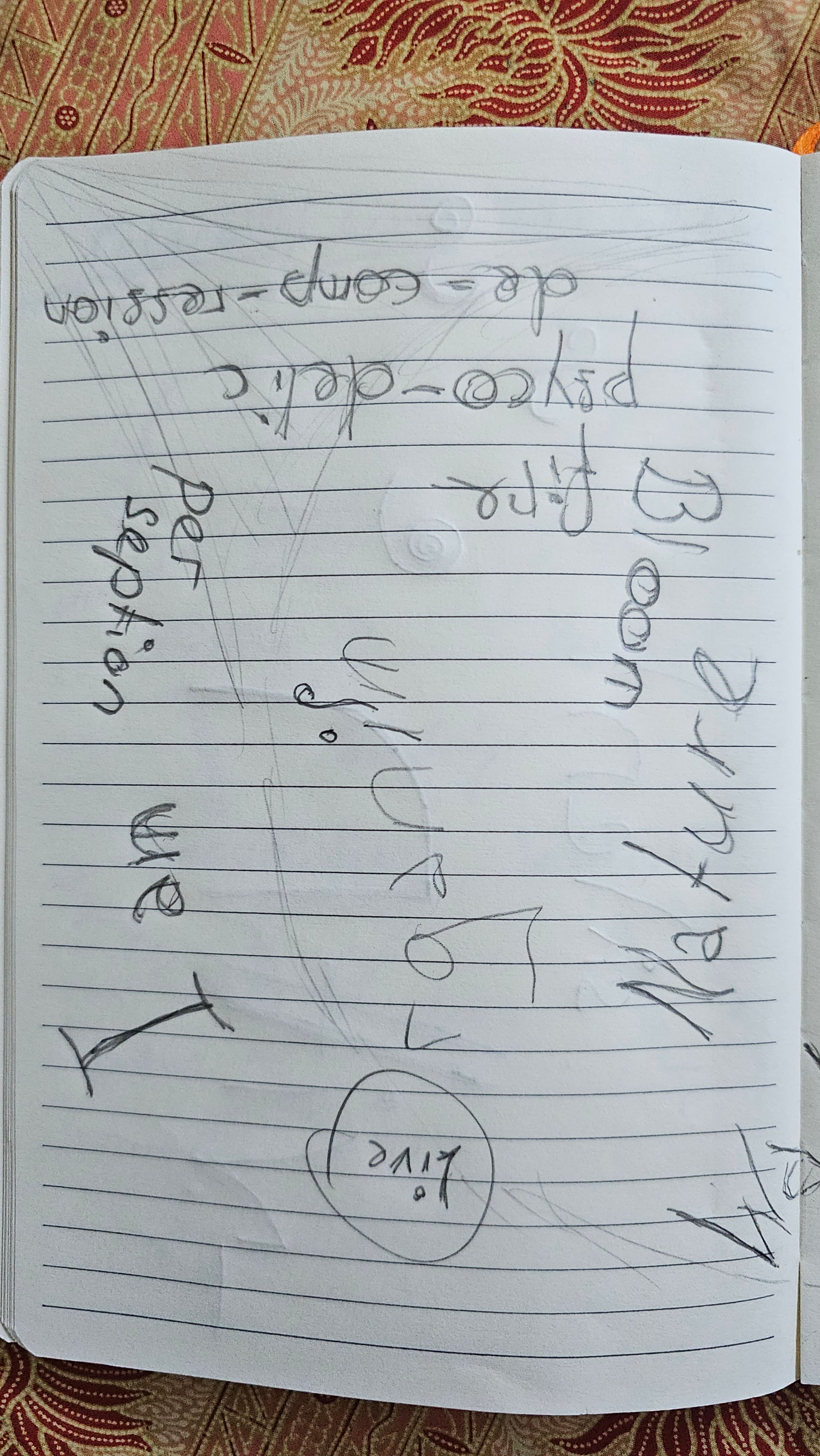 Notebook page with scattered words: Bloom, fire, psyco-delic, de-comp-ression, perception, Nature. The word 'Live' is circled. The word 'we' is plain.